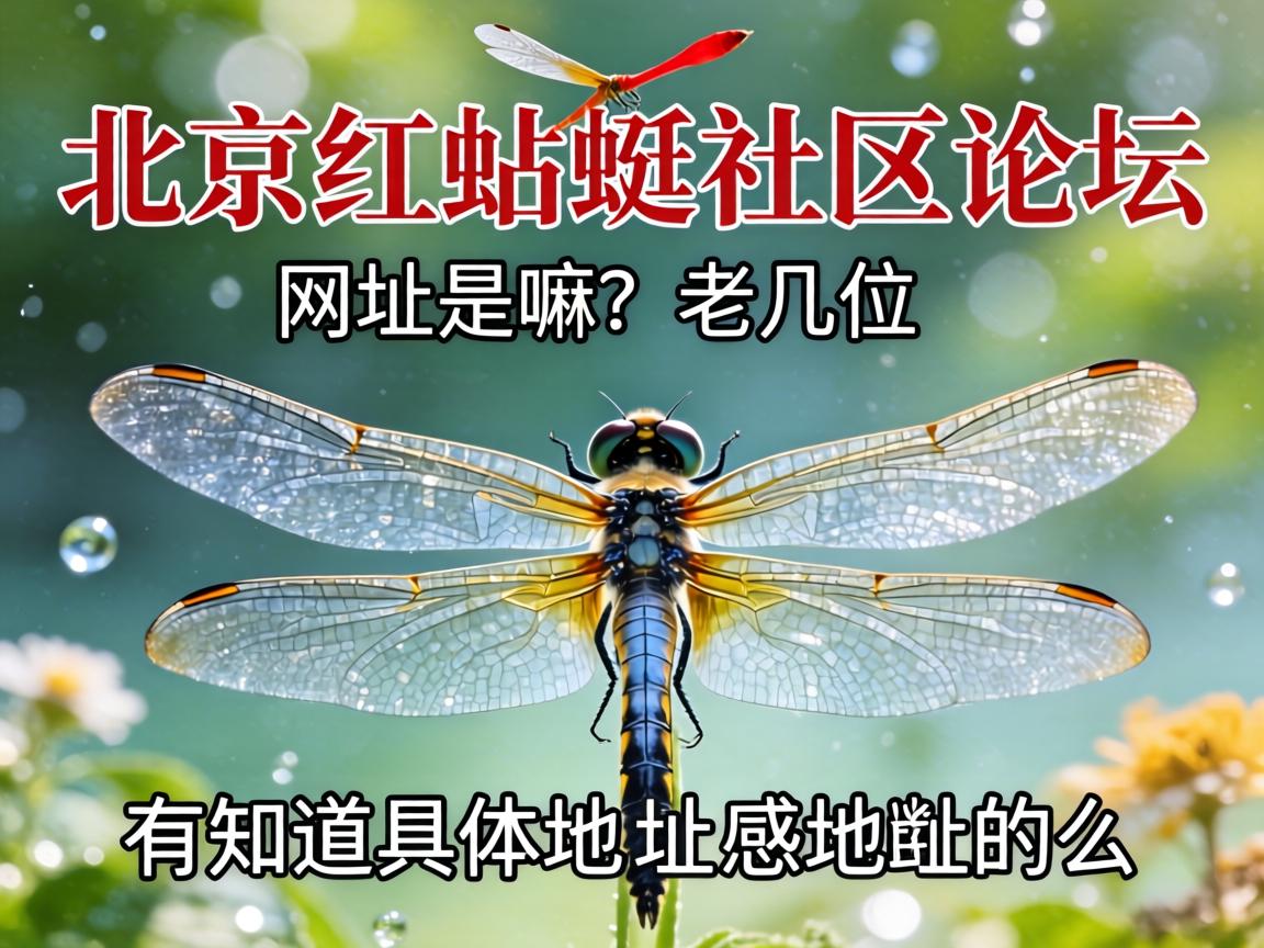 ����������������̳��ַ�������ϼ�λ����֪������ص��ô��