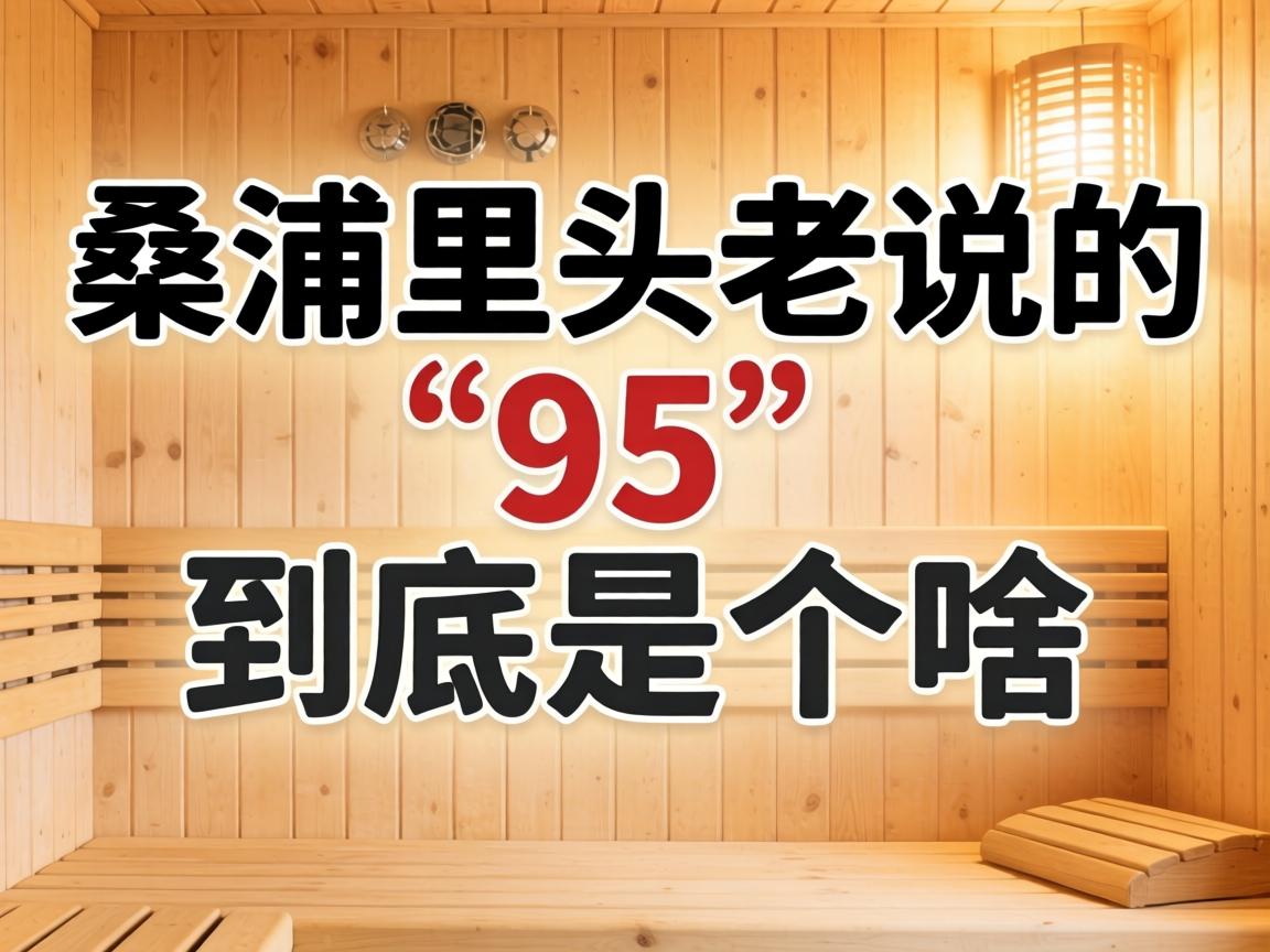 ɣ����ͷ��˵�ġ�95�������Ǹ�ɶ��˼��