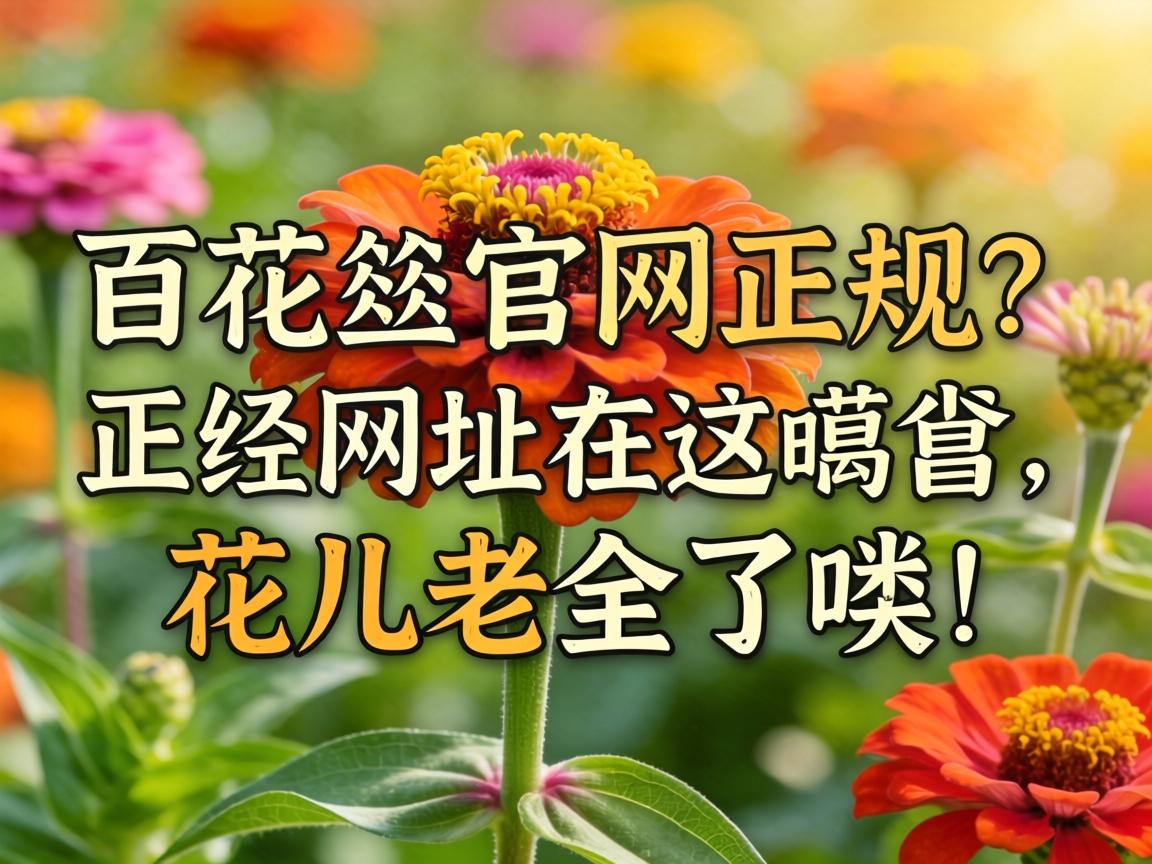 �ٻ��Թ���������Ĳ���������ַ���������������ȫ��໣�