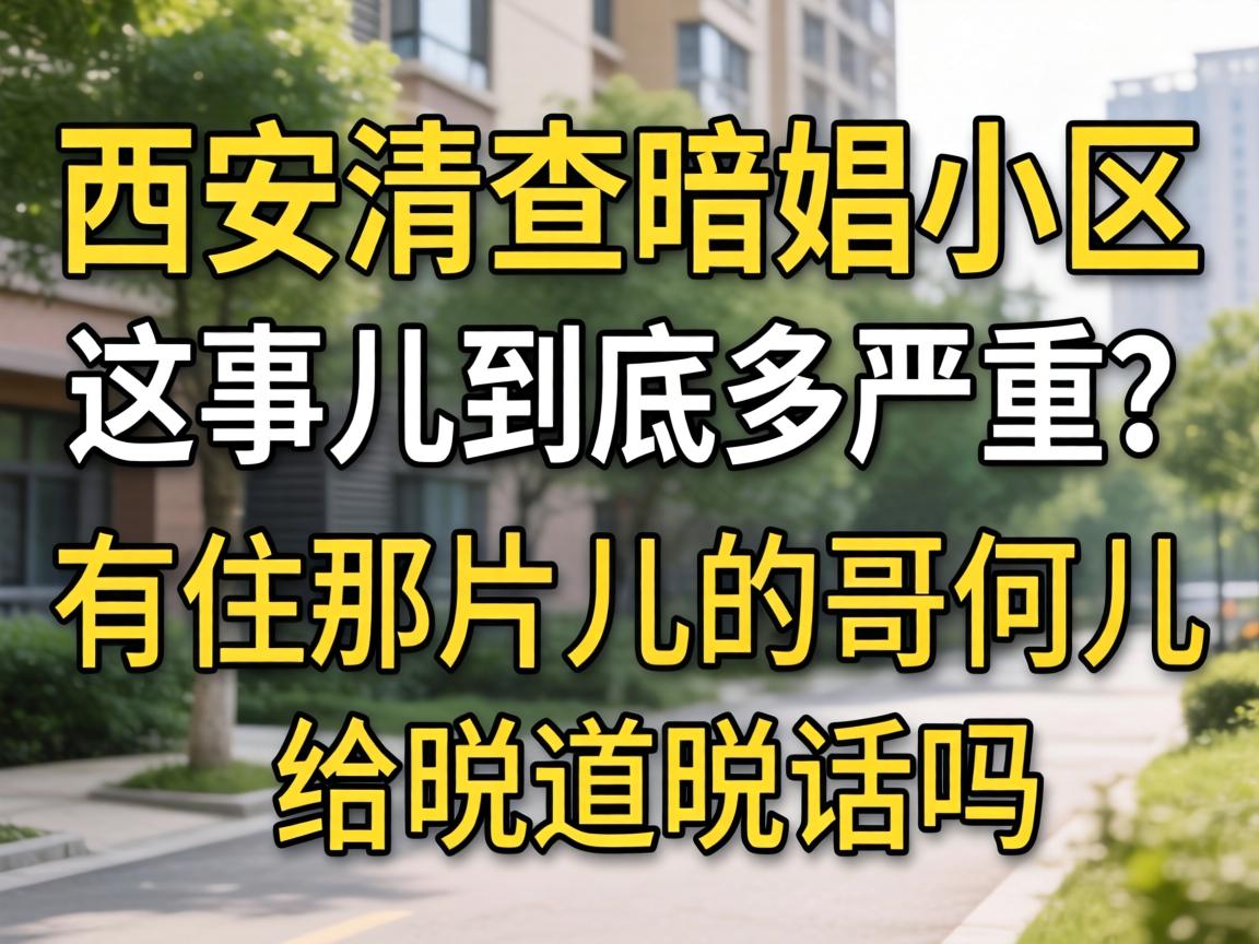 ������鰵�С�������¶���������������ס��Ƭ���ĸ��Ƕ���˵��˵������