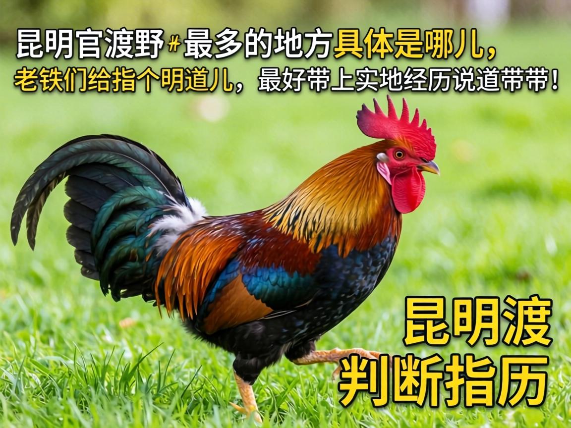 �����ٶ�Ұ�����ĵط��������Ķ��������Ǹ�ָ������������ô���ʵ�ؾ���˵��˵����