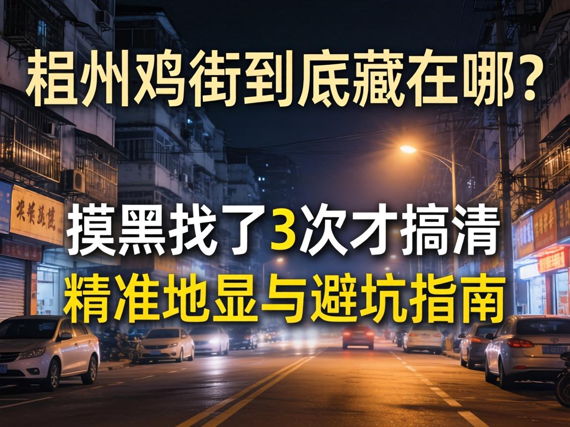 ���ݼ��־�����������������������3�βŸ���ľ�׼λ����ܿ�ָ��