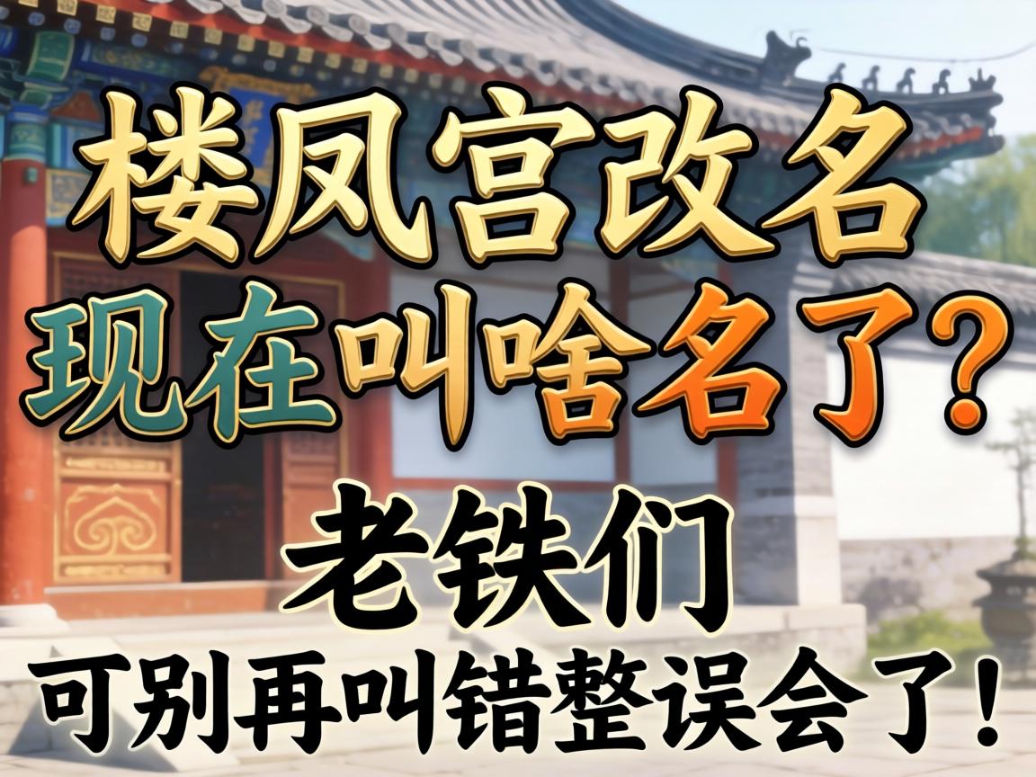 ¥�﹬�������ڽ�ɶ�����������ǿɱ��ٽд�������ˣ�