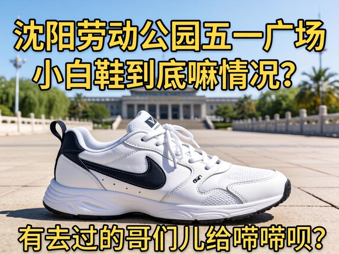 �����Ͷ���԰��һ�㳡С��Ь�������������ȥ���ĸ��Ƕ��������£�