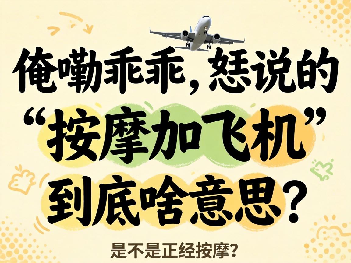 ���ϹԹ�����˵�ġ����üӷɻ�������ɶ��˼���ǲ�������������