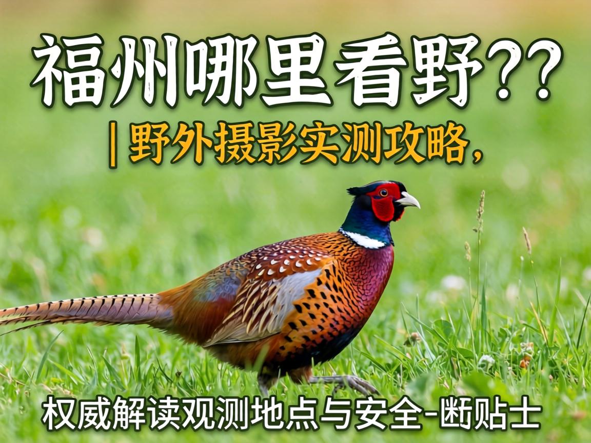 �������￴Ұ����| Ұ����Ӱʵ�⹥����Ȩ������Ӳ�������������ʿ