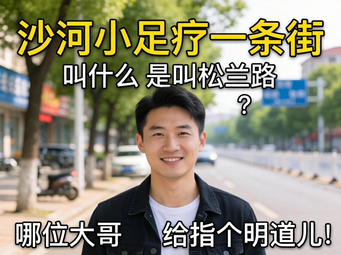 ɳ��С����һ���ֽ�ʲô���ǽ�����·����λ���ϸ�ָ����������