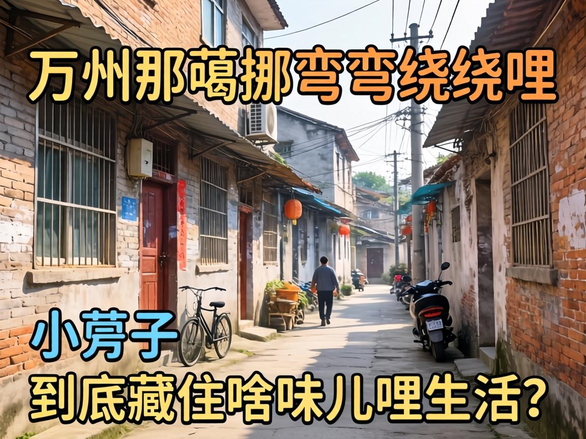 ������������������С������������סɶζ�������