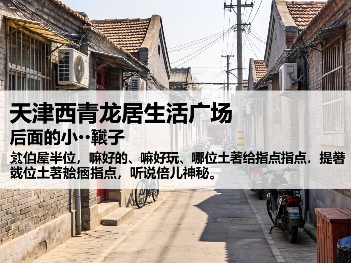 ���������������㳡�����С������������������λ������ָ��ָ������˵����������