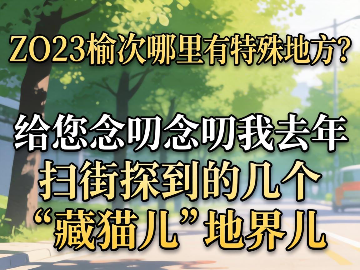 2O23�ܴ�����������ط���������߶��߶��ȥ��ɨ��̽���ļ�������è�����ؽ��