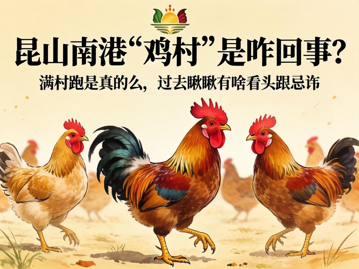 ��ɽ�ϸۡ����塱��զ�����������ܼ������ô�����������ɶ��ͷ��������