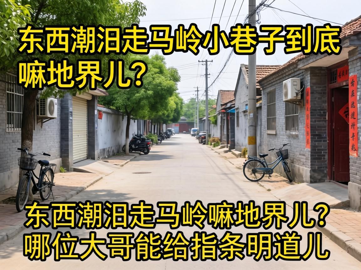 ���ߺ�������С���Ӿ�������ؽ������λ�����ܸ�ָ����������