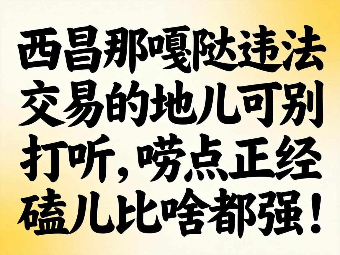 �����Ǹ���Υ�����׵ĵض��ɱ�̽ѯ����������Ķ���ɶ��ǿ��