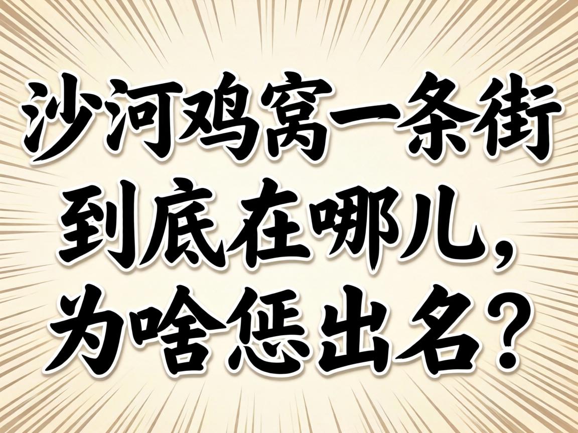 ��ɳ�Ӽ���һ���֡��������Ķ���Ϊɶ��������