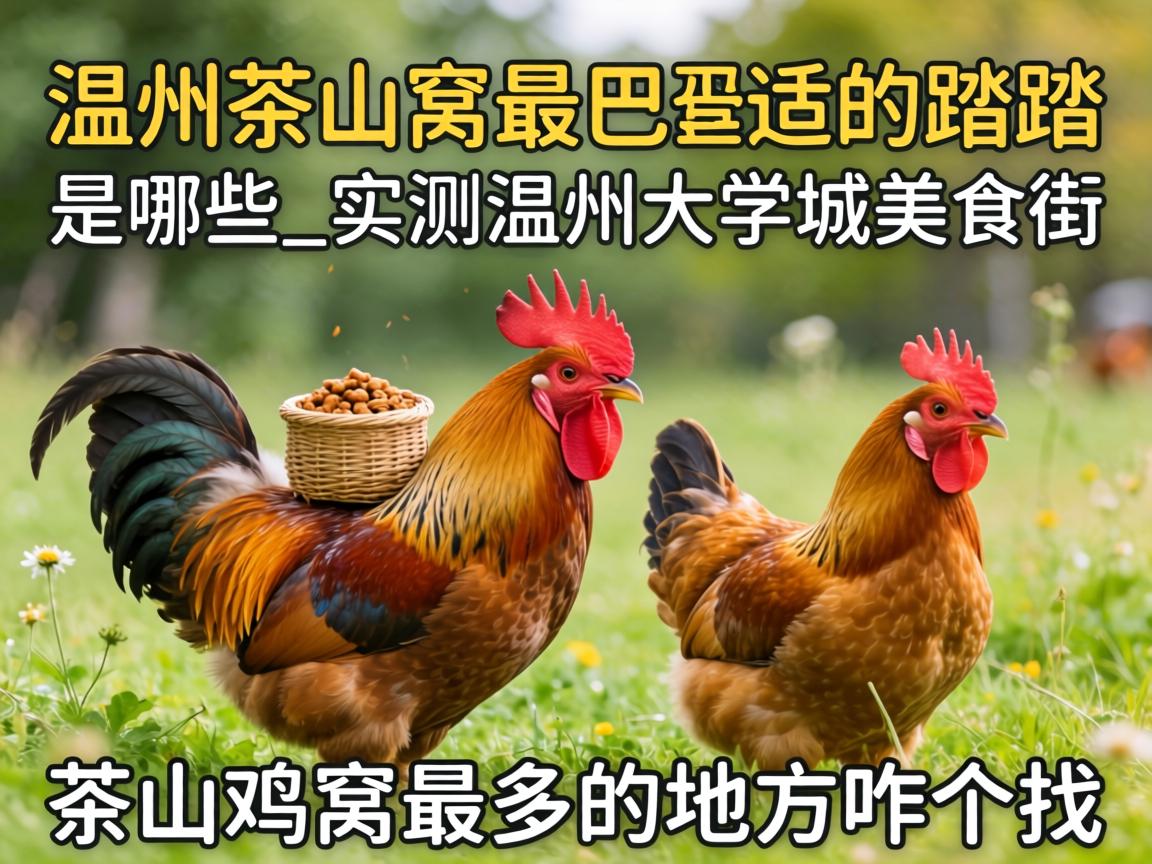 ���ݲ�ɽ��������ʵ�̤̤����Щ_ʵ�����ݴ�ѧ����ʳ�ֲ�ɽ�������ĵط�զ����