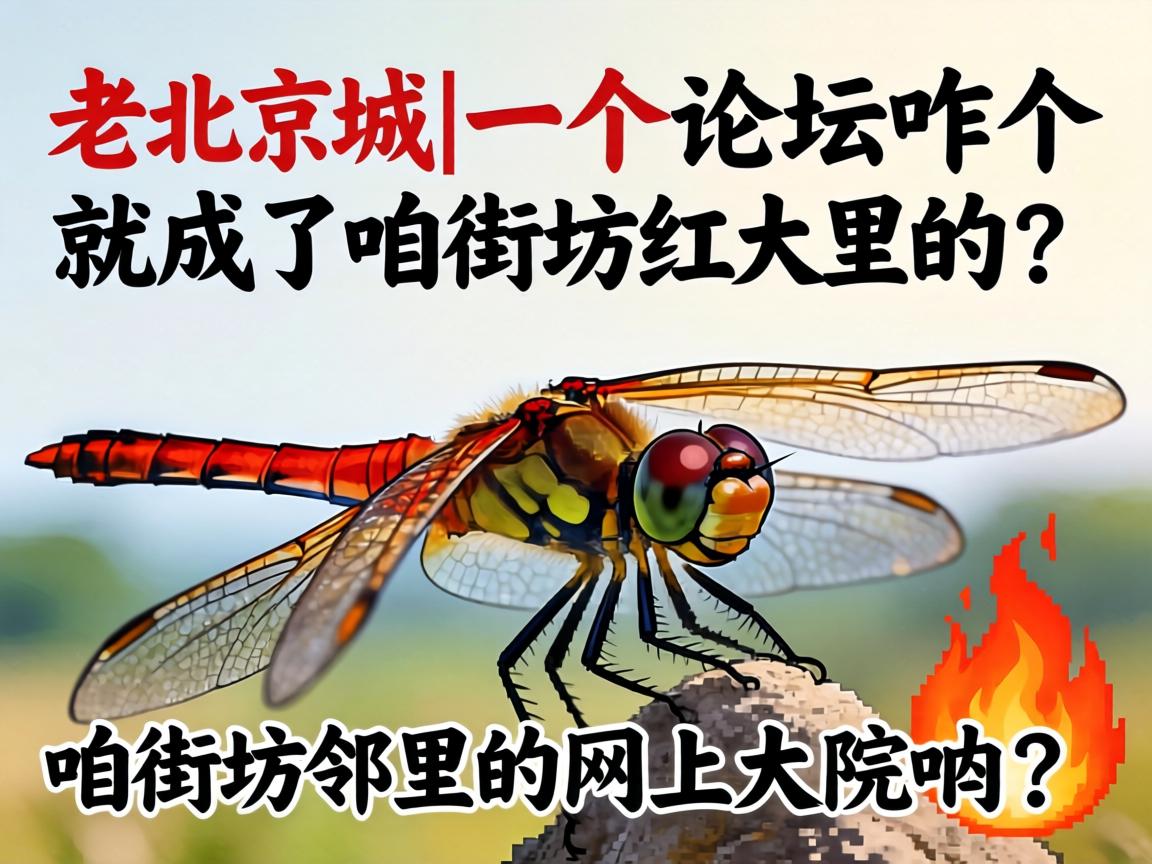 �ϱ����ǵĺ�����|һ����̳զ���ͳ����۽ַ���������ϴ�Ժ���?