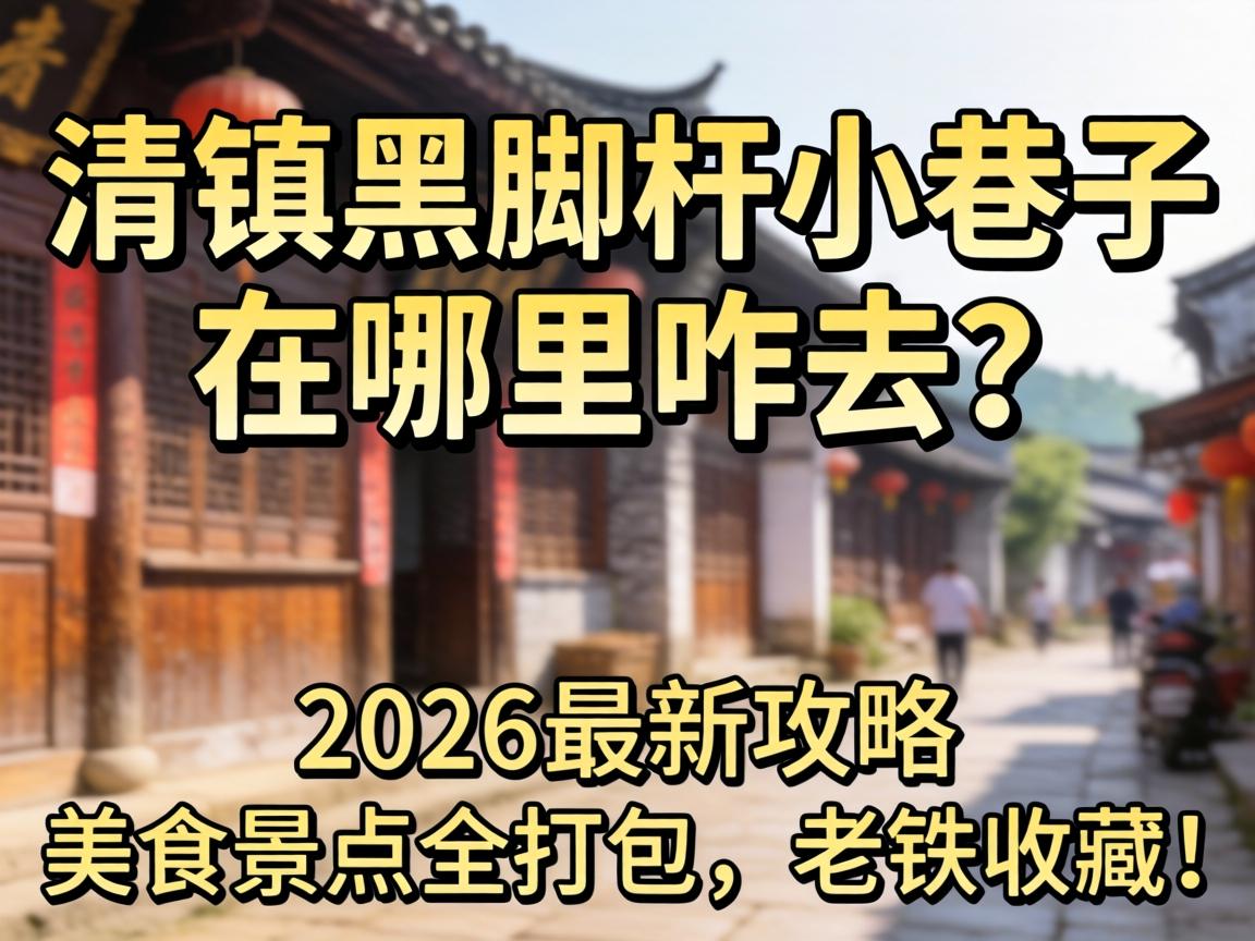 ����ڽŸ�С����������զȥ��2026���¹�������ʳ����ȫ����������ղأ�