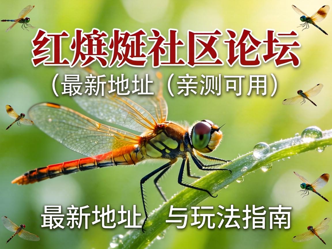 ºìòßòÑÉçÇøÂÛ̳ÐÅÏ¢×îеص㣨Çײâ¿ÉÓã©ÓëÍæ·¨Ö¸ÄÏ