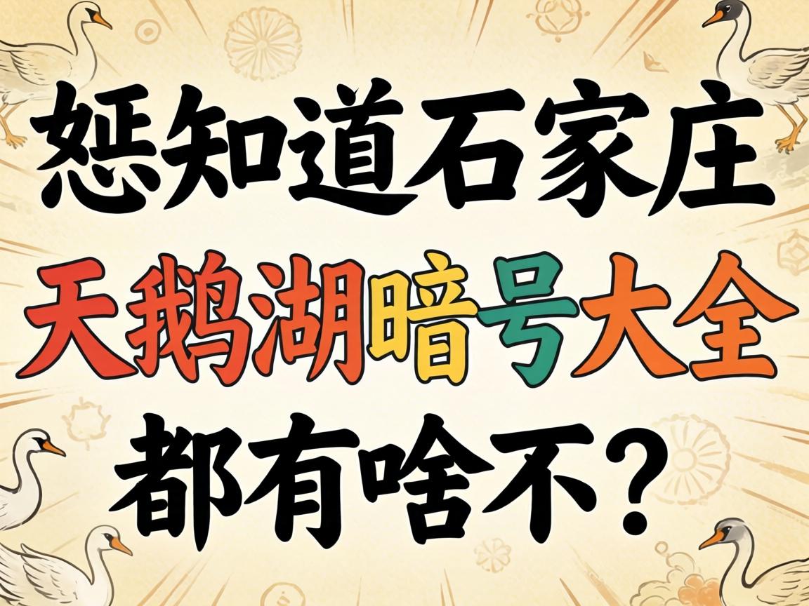 ��֪��ʯ��ׯ������Ŵ�ȫ����ɶ����