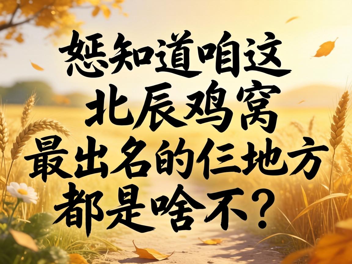 ��֪�����ⱱ�����������������ط�����ɶ����