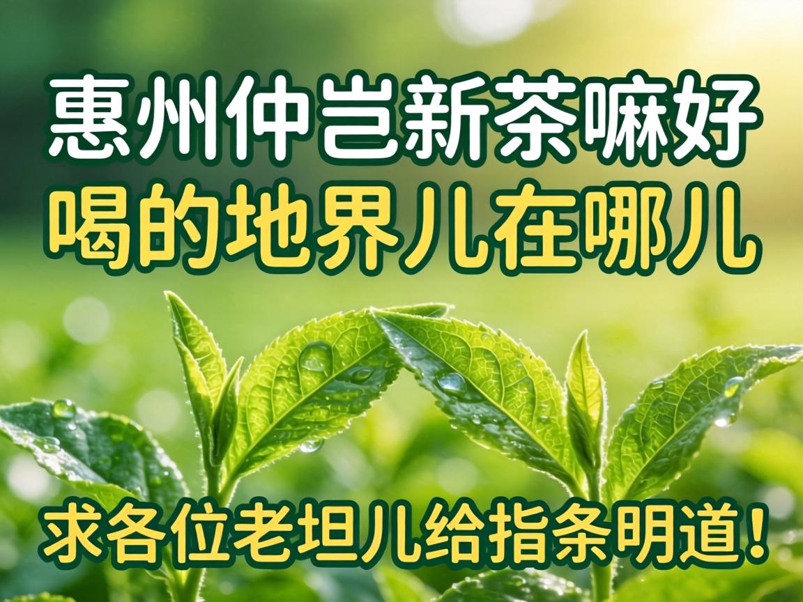 ���������²���úȵĵؽ�����Ķ�������λ��̹����ָ��������