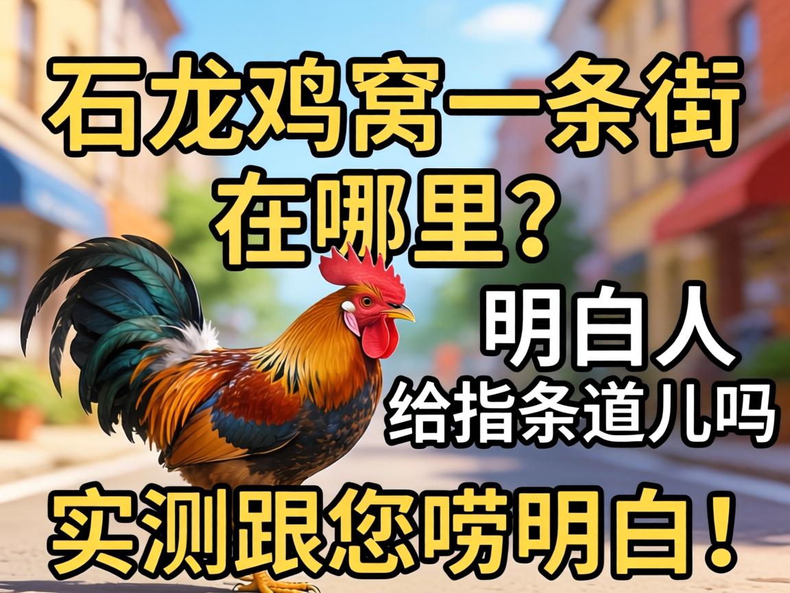 ʯ������һ�������������������˸�ָ����������ʵ����������ף�