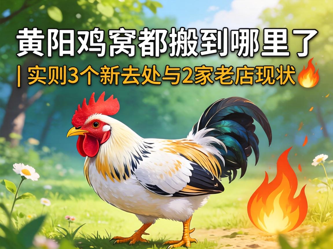 ×ÊÑô¼¦ÎѶ¼°áµ½ÄÄÀïÁË | ʵ²â3¸öÐÂÈ¥´¦Óë2¼ÒÀϵêÏÖ×´?