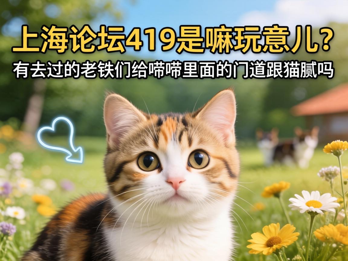 �Ϻ���̳419�������������ȥ���������Ǹ�����������ŵ���è������