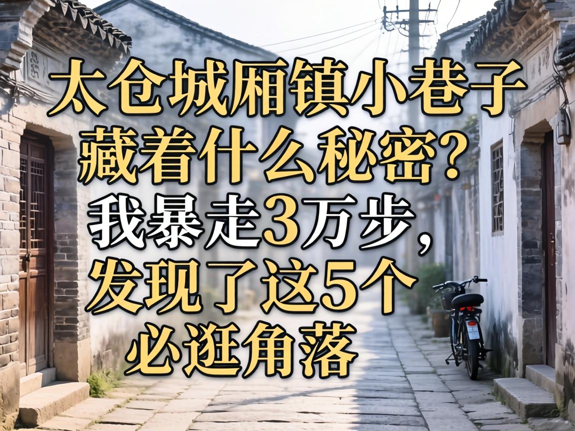 ̫�ֳ�����С����������ʲô�������ұ���3������������5���ع����