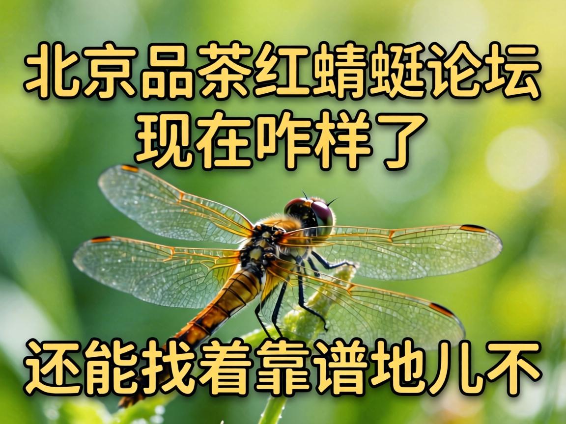 ����Ʒ���������̳����զ�������������ſ��׵ض�����