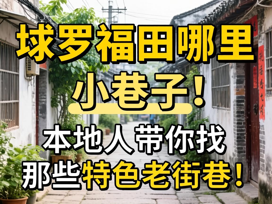 ���޸���������С����������˴�������Щ��ɫ�Ͻ��