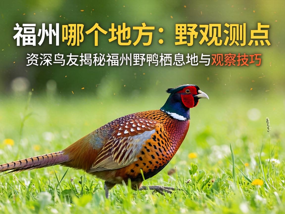 �����ĸ��ط���Ұ���Ӳ�����������ѽ��ظ���Ұ����Ϣ�����Ӳ켼��