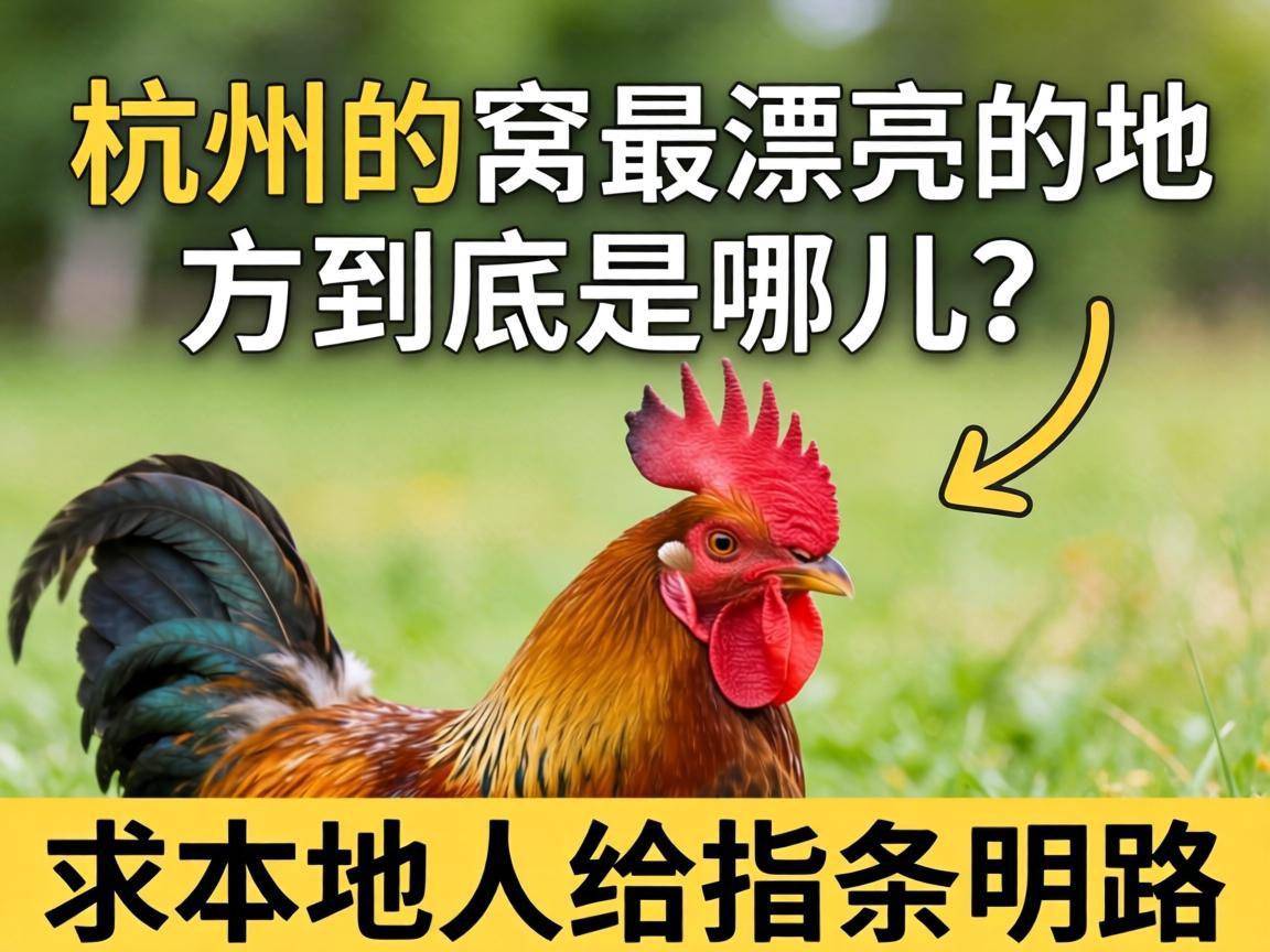 ���ݵļ�����Ư���ĵط��������Ķ���������˸�ָ����·��