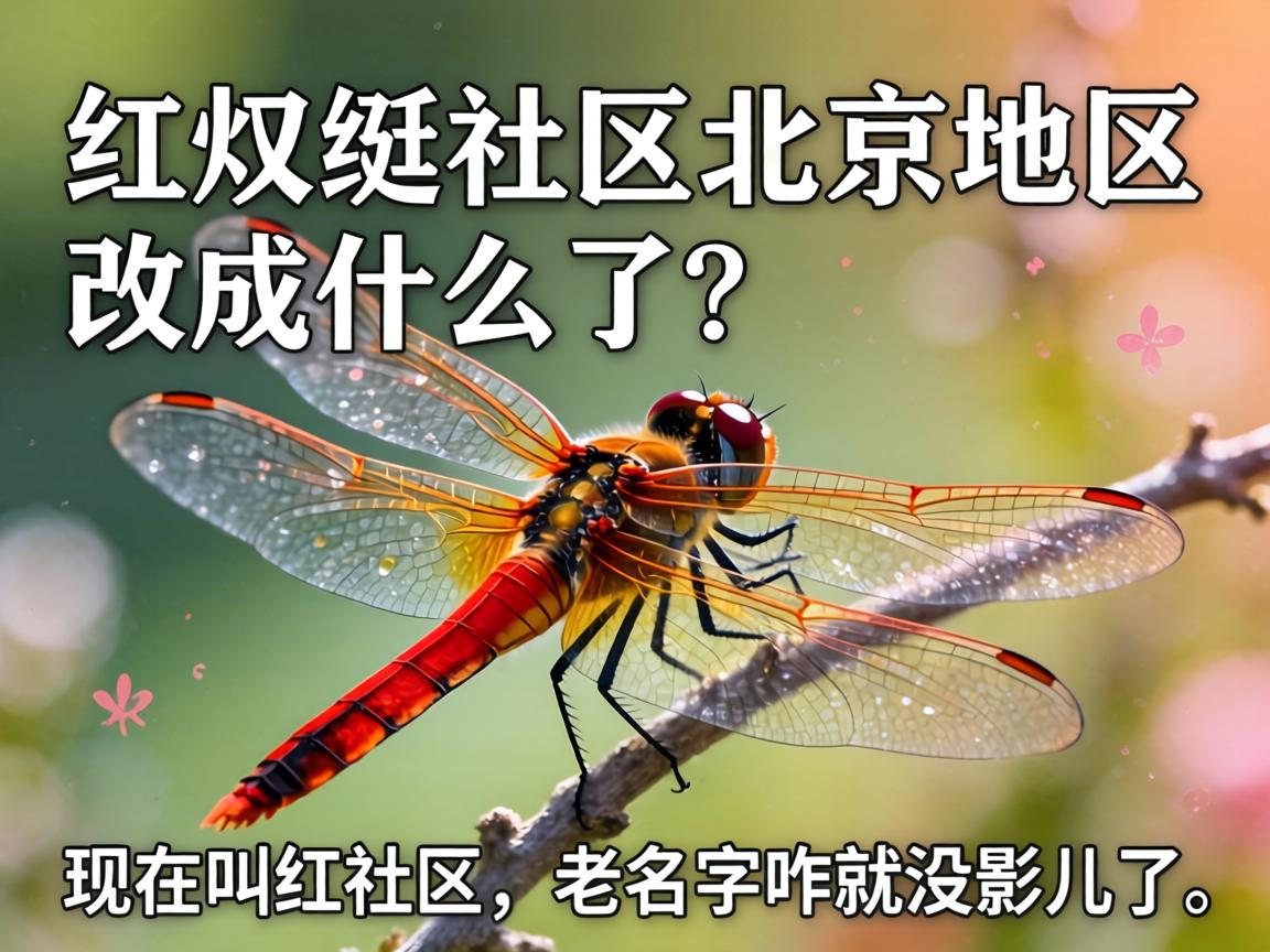 �������������������ĳ�ʲô�������ڽк�������������զ��ûӰ����