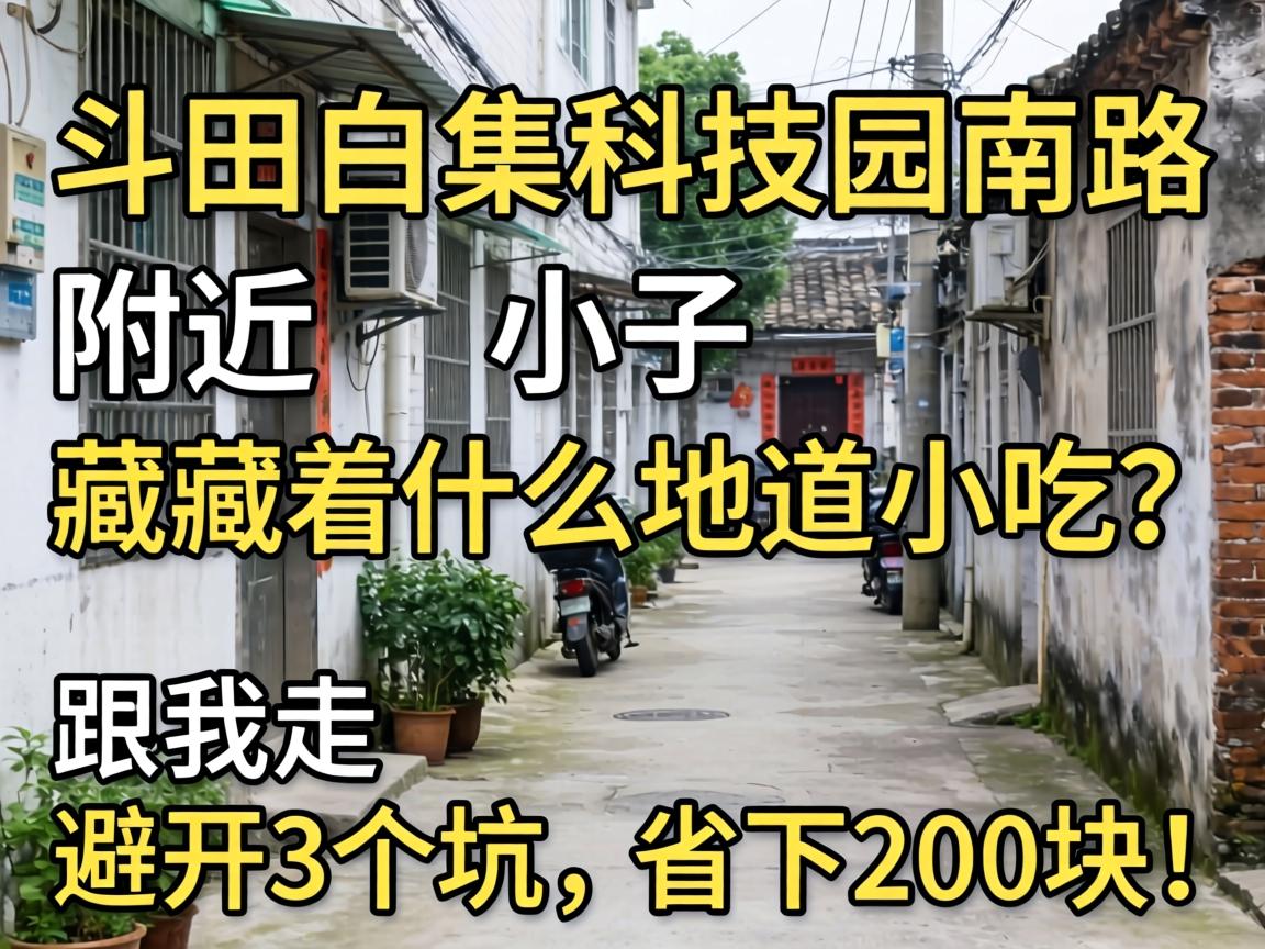 ���Ű׽��Ƽ�԰��·����С����������ʲô����С�������������ܿ�3������ʡ��200�飡