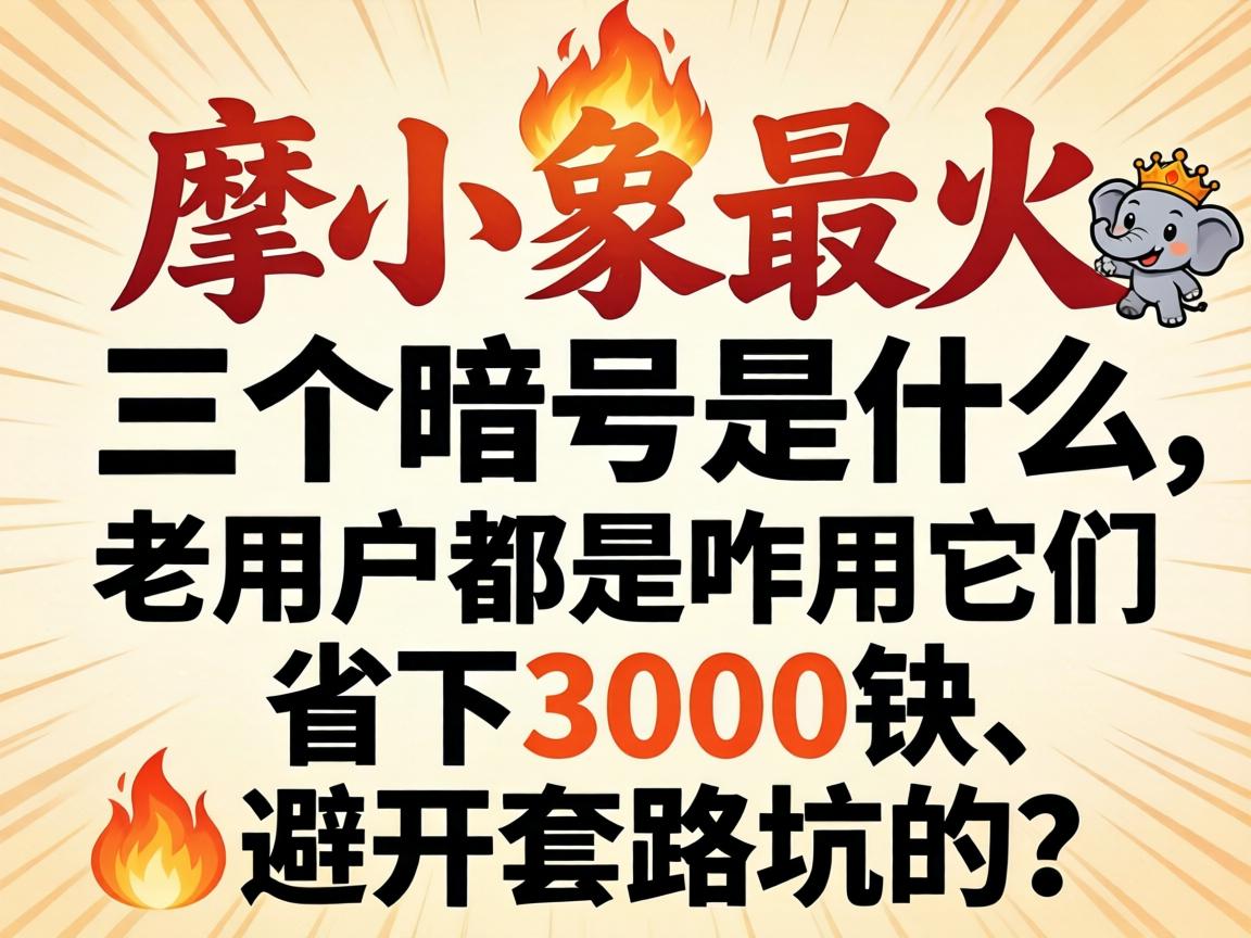 ĦС���������������ʲô�����û�����զ������ʡ��3000�顢�ܿ���·�ӵ���