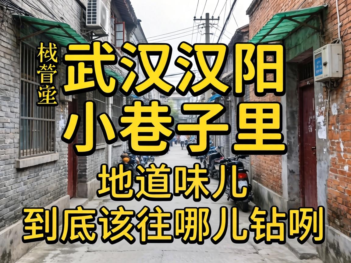 �����人����С�����������ζ�������������Ķ�������