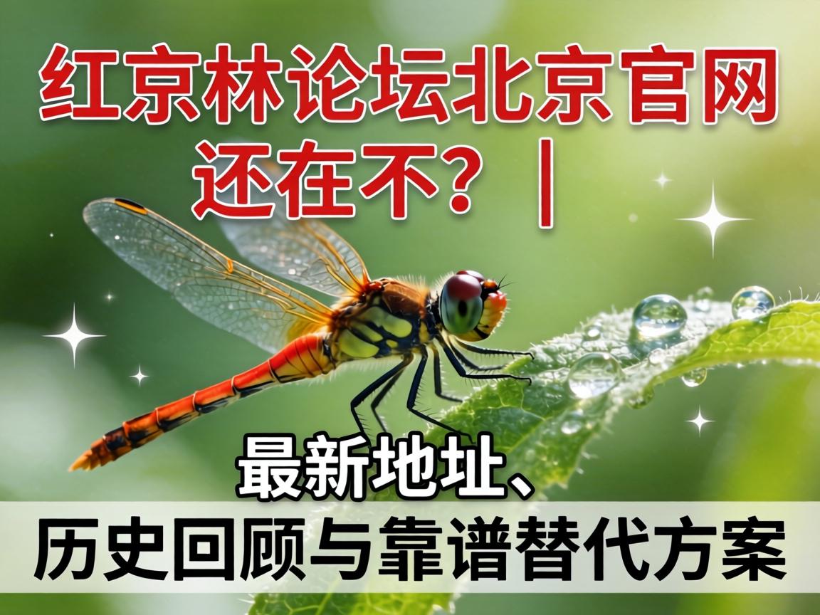 ��������̳�����������ڲ���| ���µص㡢��ʷ�����뿿������ƻ�