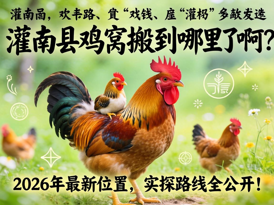 �����ؼ��Ѱᵽ�����˰���2026������λ�á�ʵ̽·��ȫ���棡