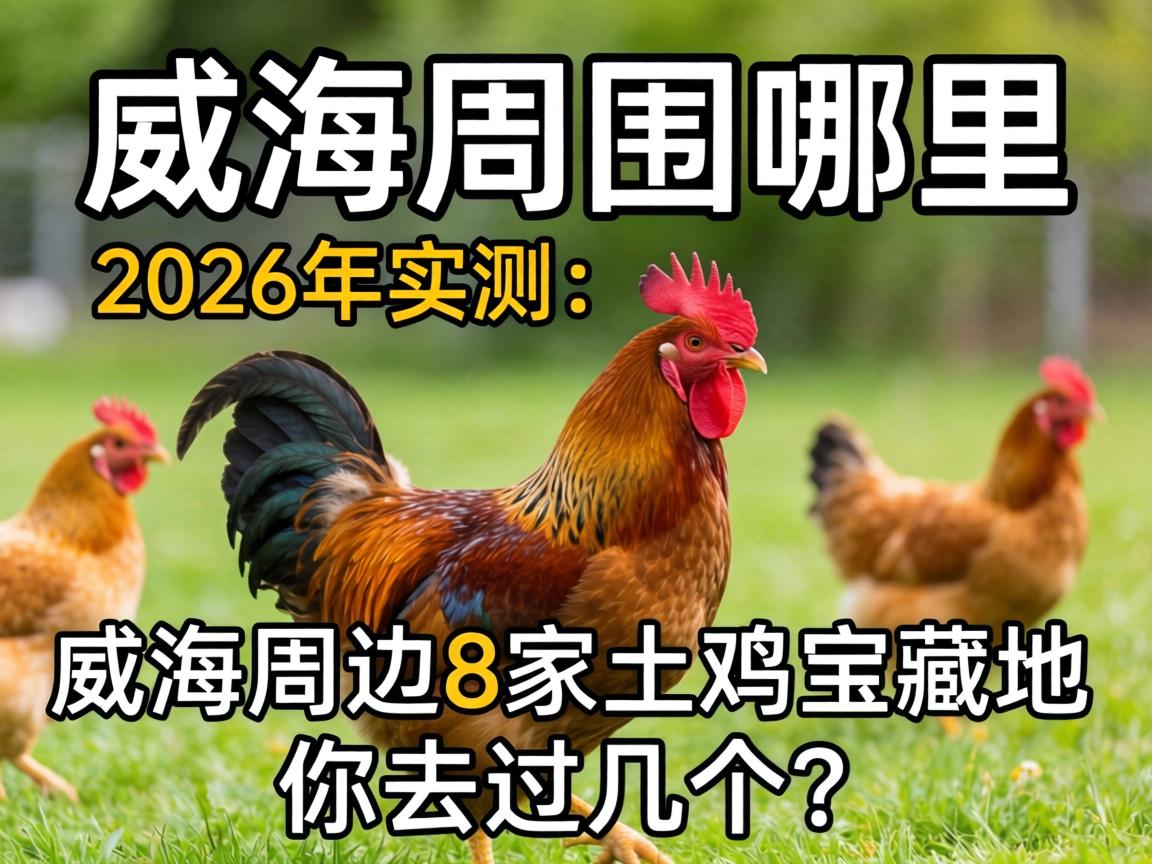 ������Χ�����м���2026��ʵ�⣺�����ܱ�8���������ص�����ȥ��������