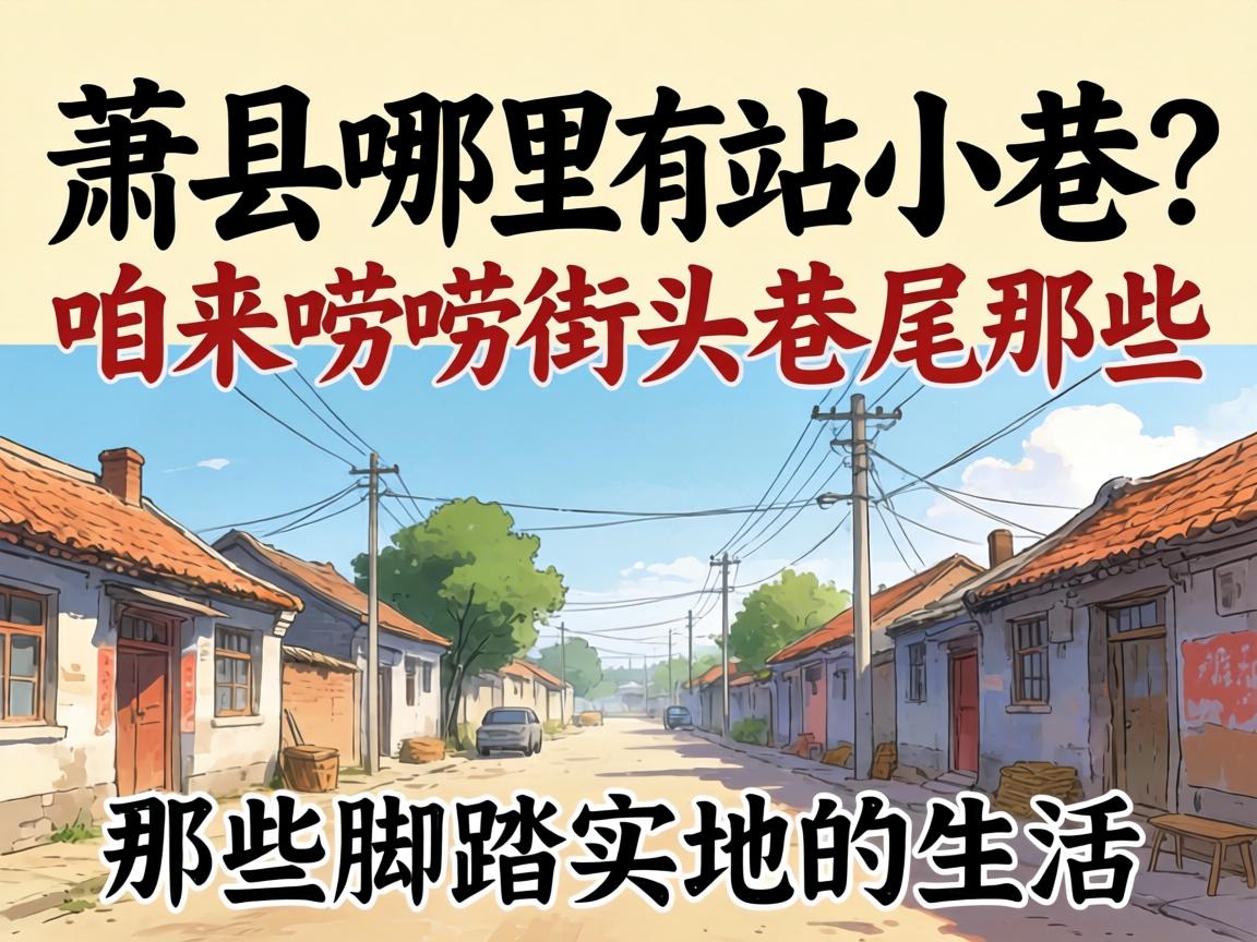 ����������վС��������������ͷ��β��Щ��̤ʵ�ص�����