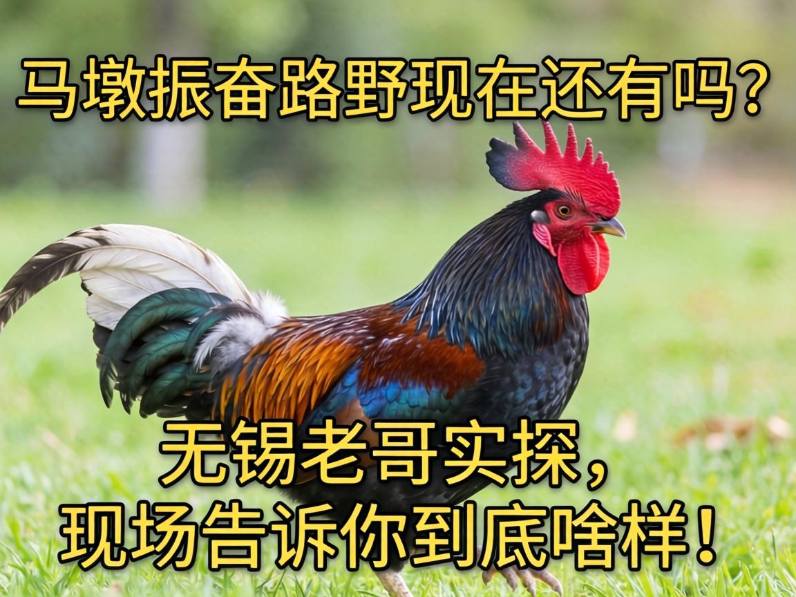 上马墩振奋路野鸡现在还有吗?无锡老哥实探,现场告诉你到底啥样!