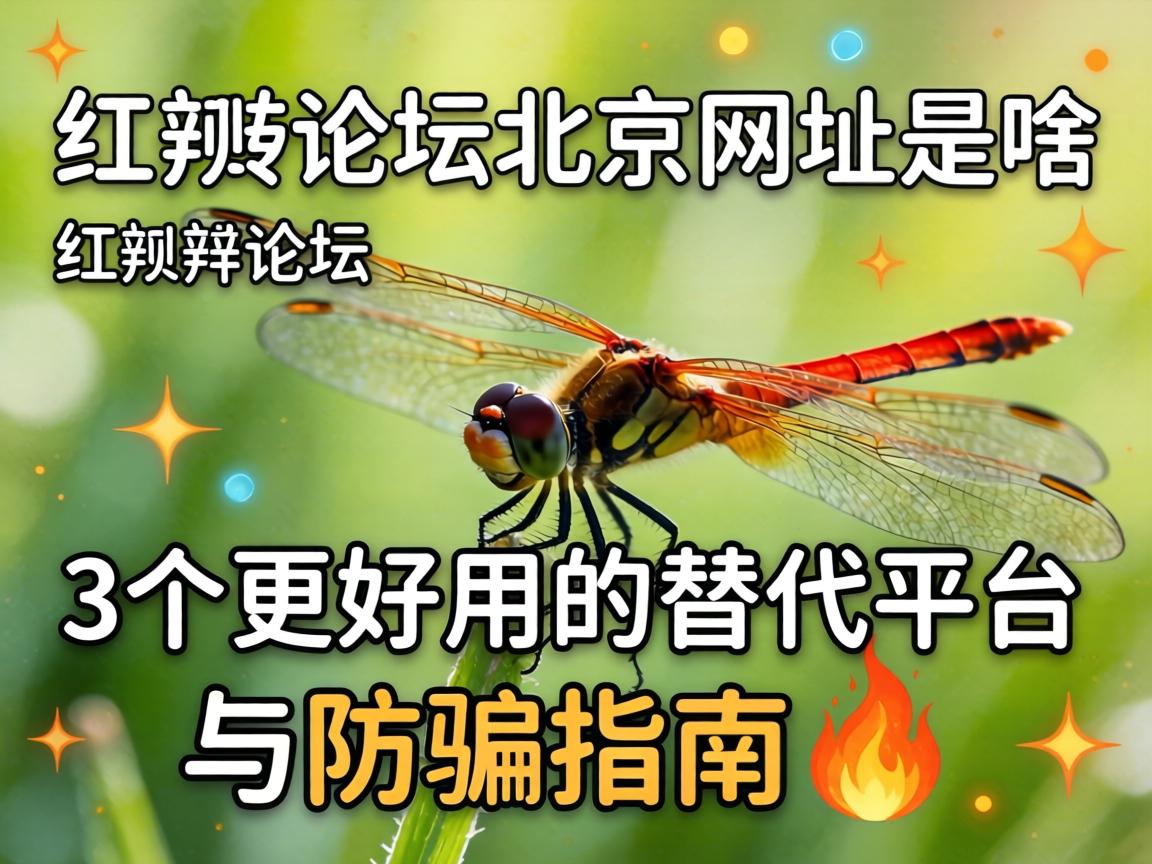红蜻蜓论坛北京网址是啥？3个更好用的替代平台与防骗指南?