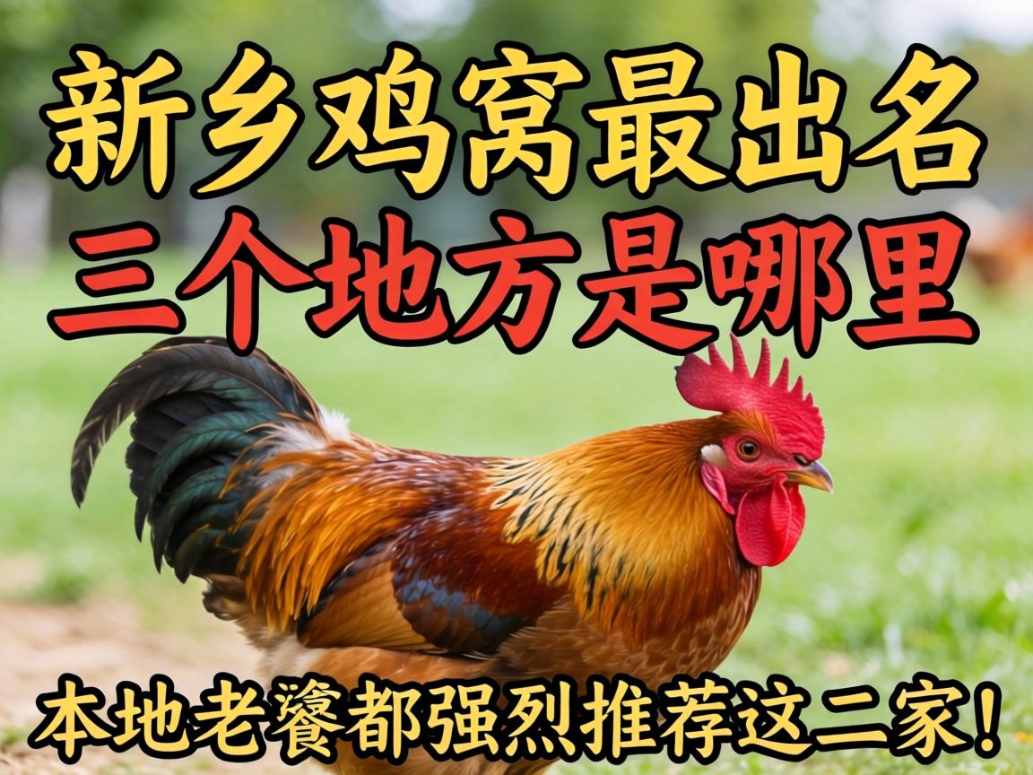 新乡鸡窝最着名的三个地方是那里？？？？？外地老饕都强烈推荐这三家！