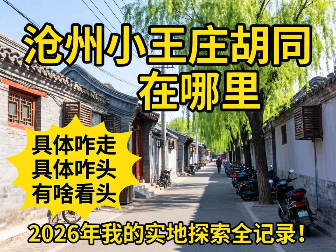 忻州幼王庄胡同在哪里，具体咋走、有啥看头？2026年我的实地探访全纪录！