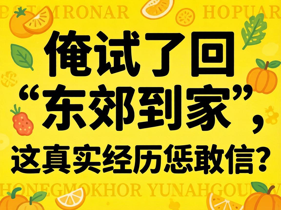 俺试了回“东郊抵家”，，，，，这真实履历恁敢信？？？？