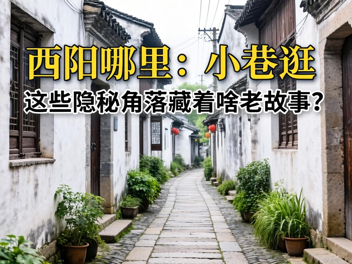 东阳哪里有小巷可逛？这些隐秘角落藏着啥老故事？