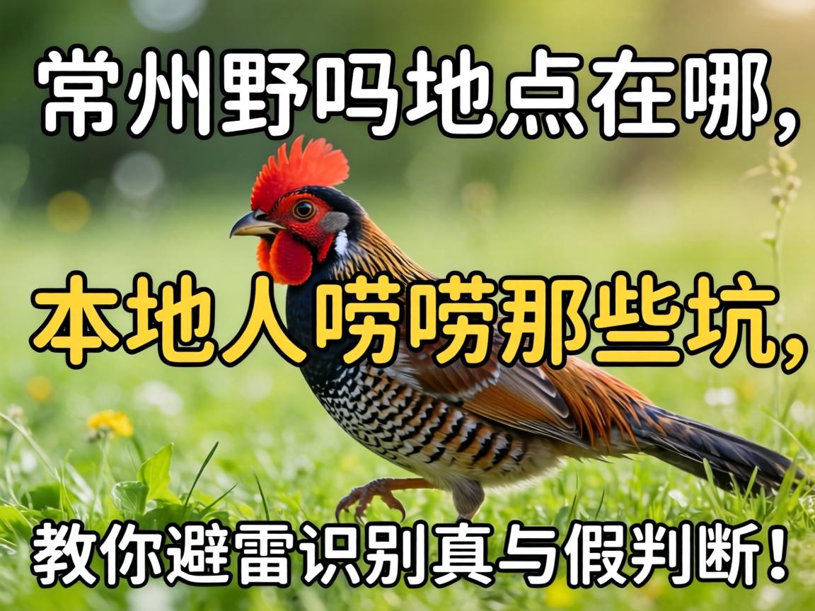 常州野鸡地点在哪?本地人唠唠那些坑,教你避雷识别真与假
