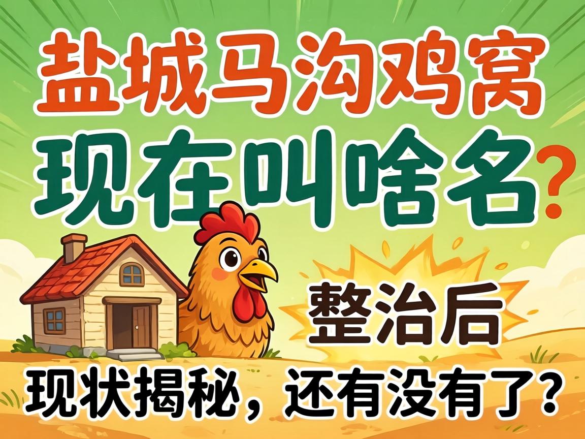 黄石马沟鸡窝此刻叫杉？整治后近况揭秘，还有没有了？