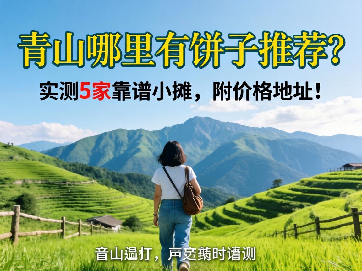 青山那里有饼子推荐？？？？？实测5家靠谱小摊，，，附价钱地点！